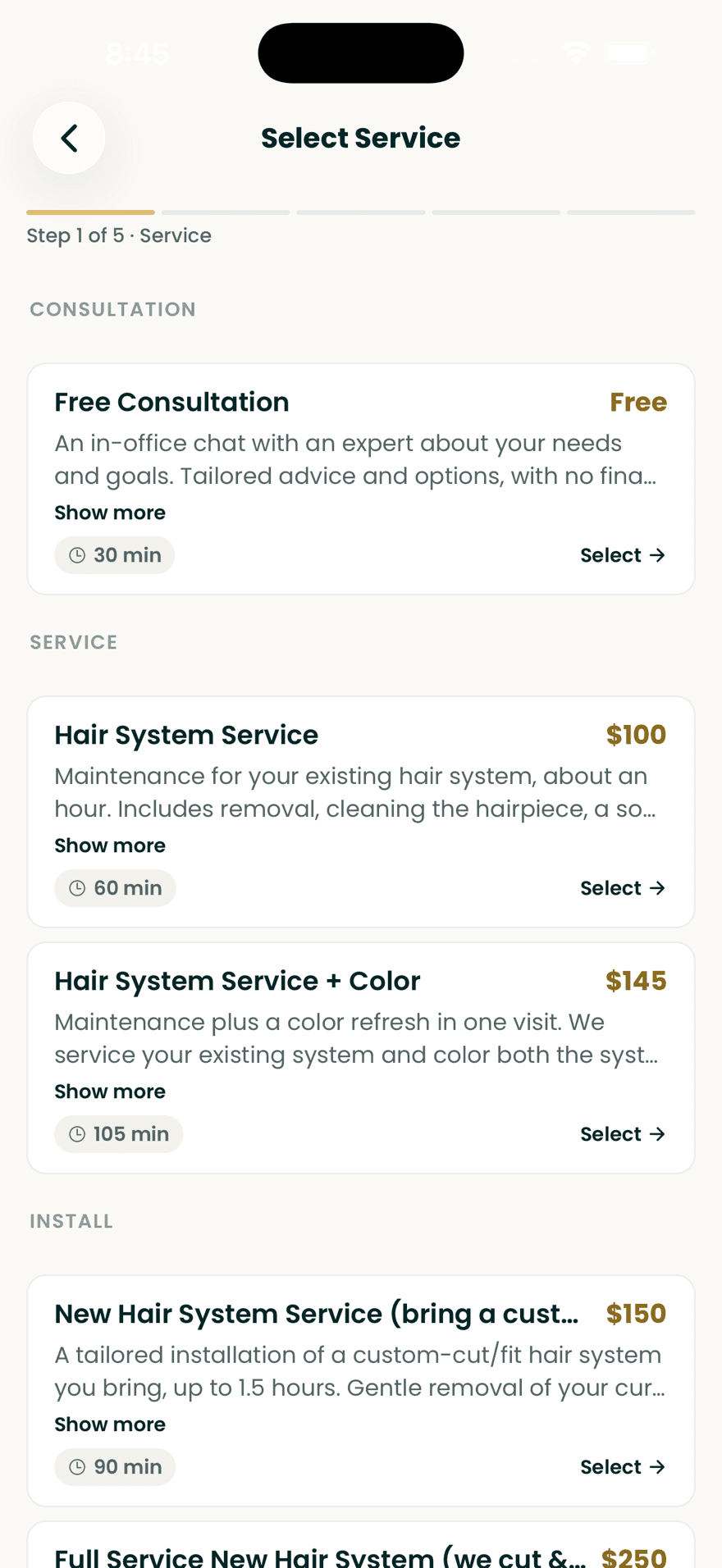 Service list with durations and prices, from a free consultation to a full new hair system